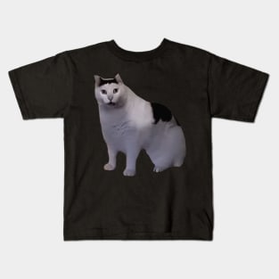 Huh Cat Meme Kids T-Shirt